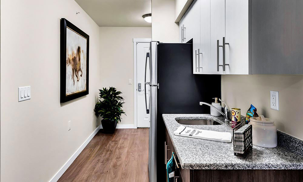 Kitchen area of a senior living apartment