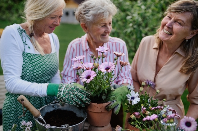 Residents planting flowers together outdoors.