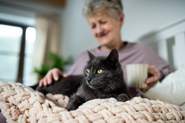 Senior woman enjoying time with a cat