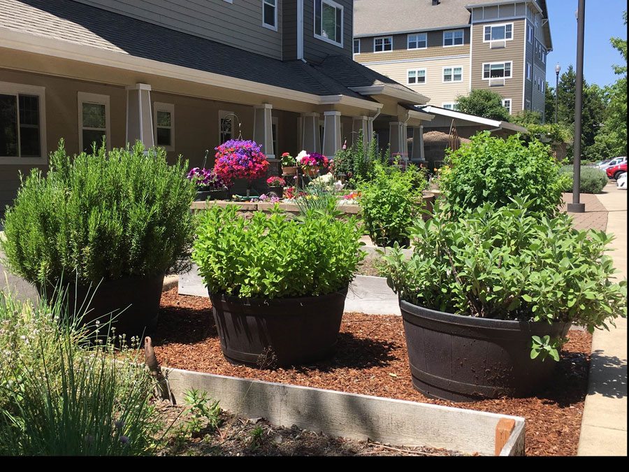 Colorful flower pots in the outdoor garden