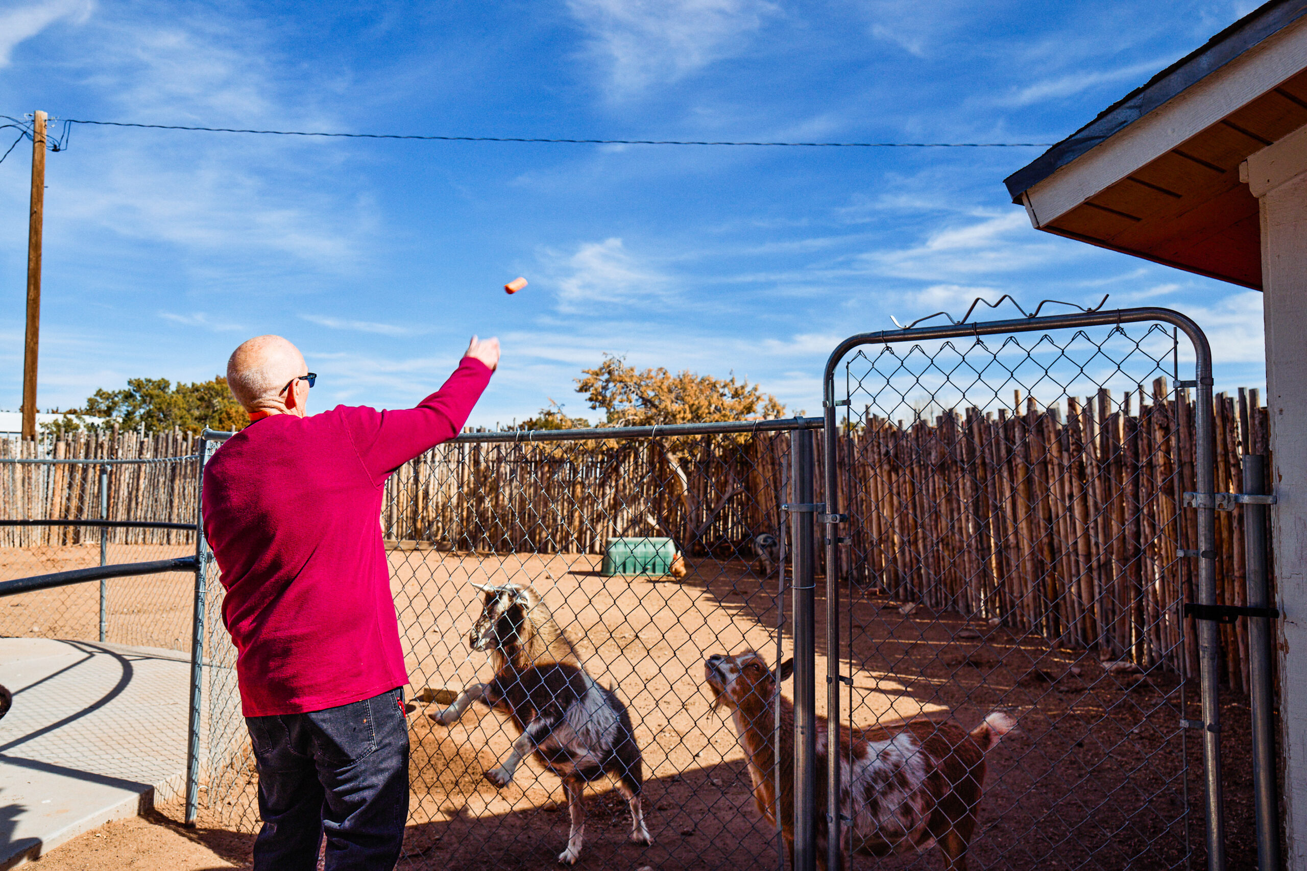 Resident playing with dogs in outdoor space.