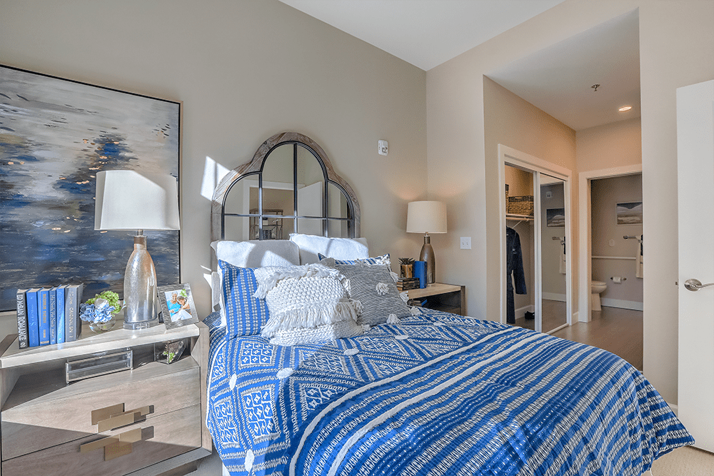 Cozy resident room with blue decor and ample lighting