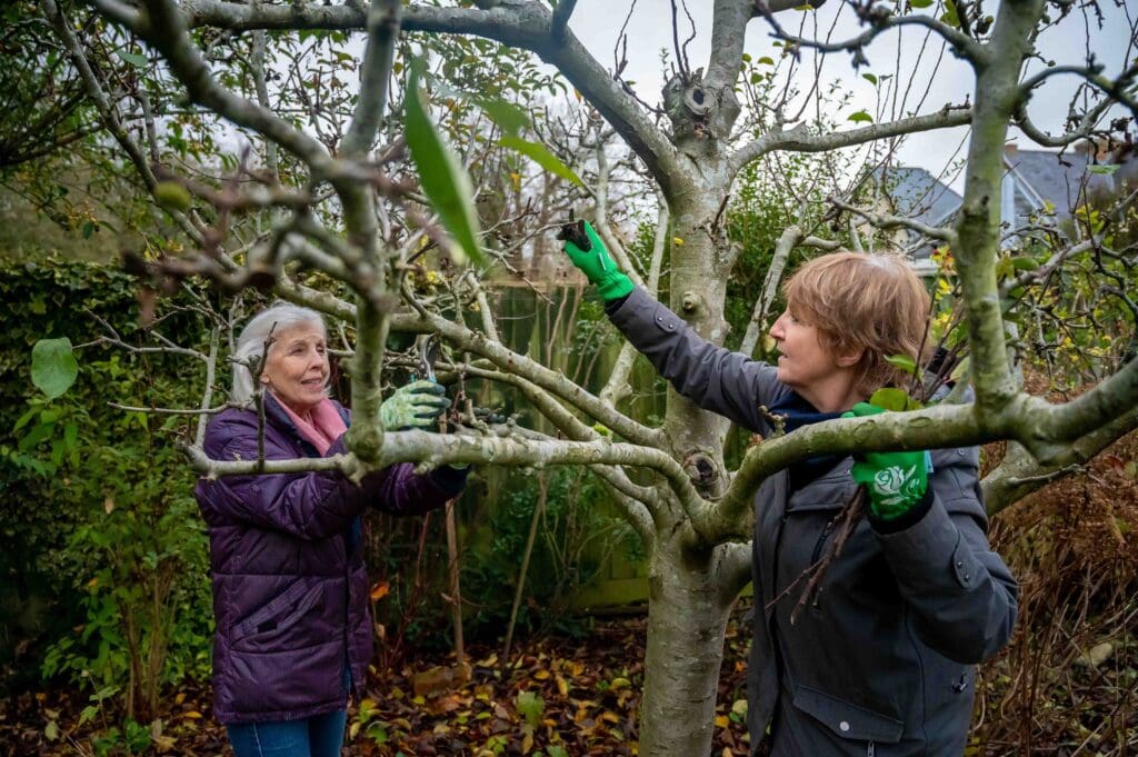 Two women pruning a tree in a garden