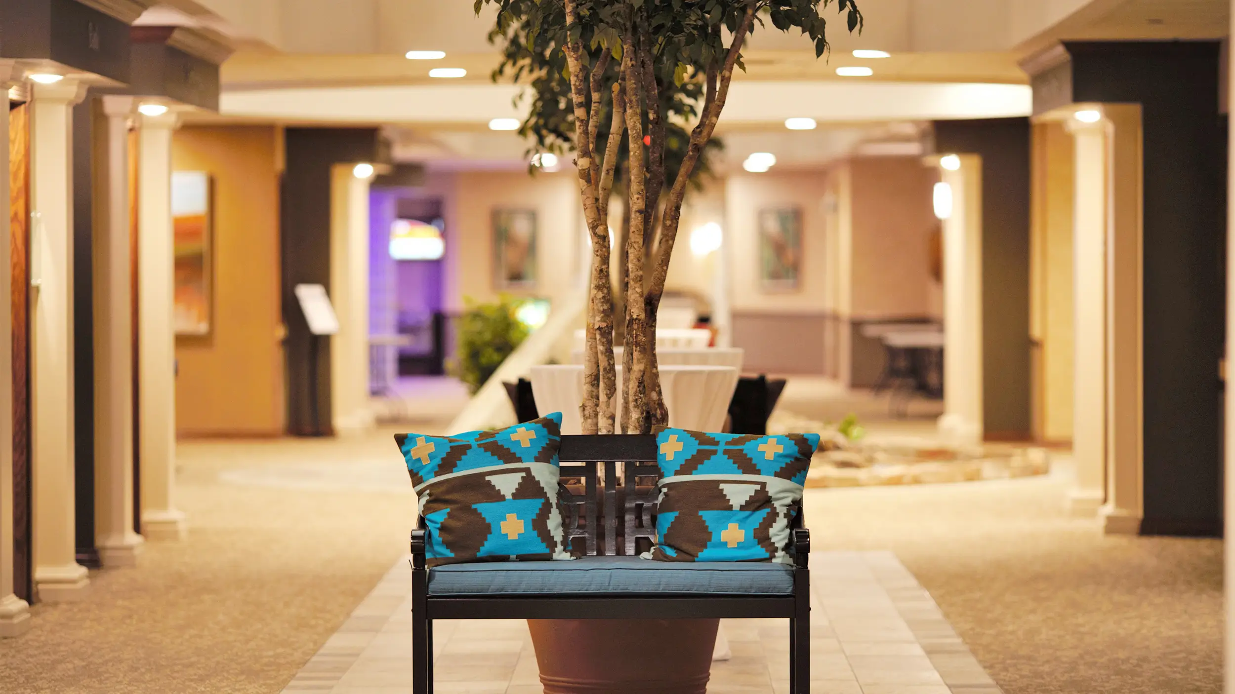 Interior view of a lounge area with a bench and potted tree