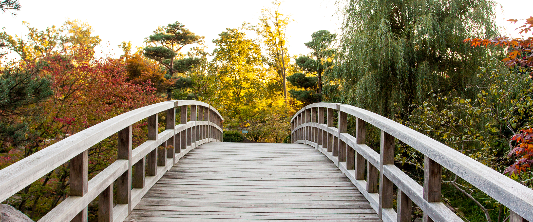 Wooden bridge in a colorful garden setting
