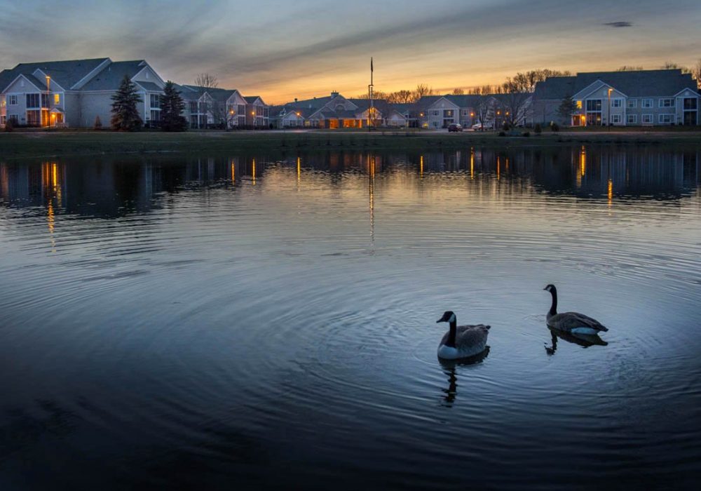 View of the facility at sunset with ducks on the pond