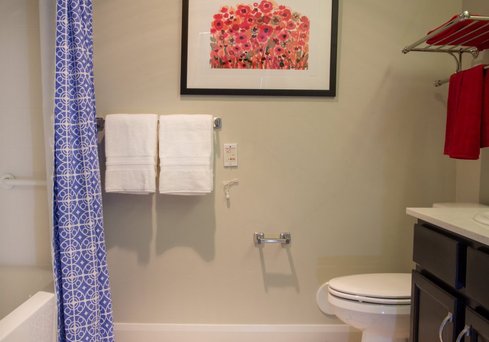 Brightly decorated bathroom with floral art