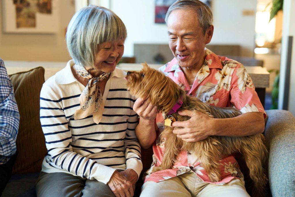 Couple enjoying time with a small dog in a cozy area