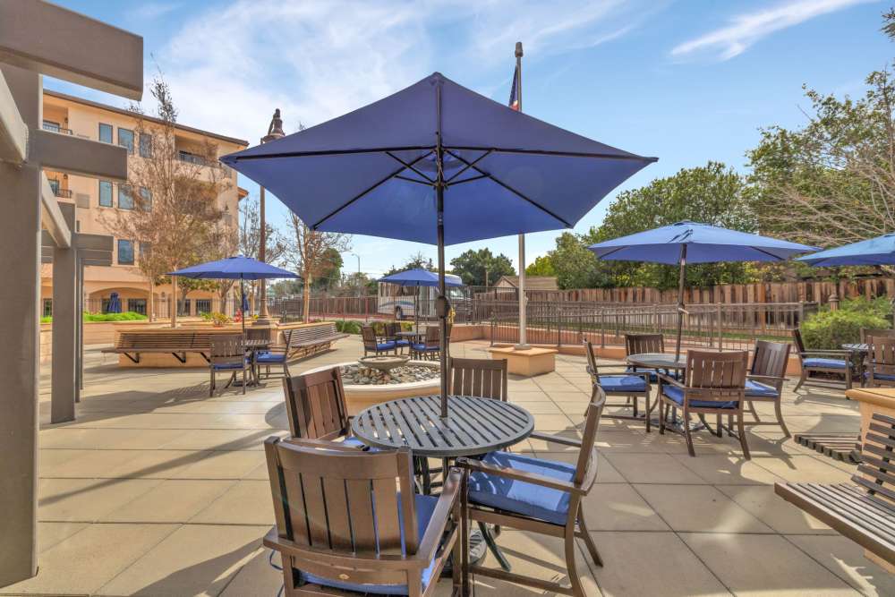 Outdoor seating area with umbrellas and tables
