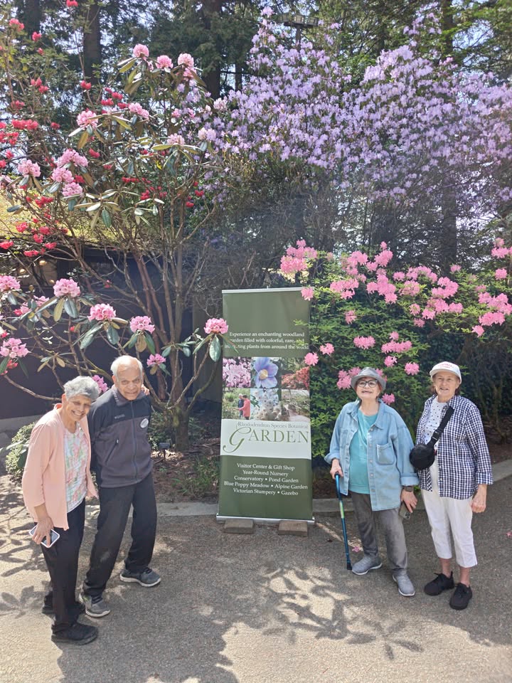Residents enjoying time in a garden area