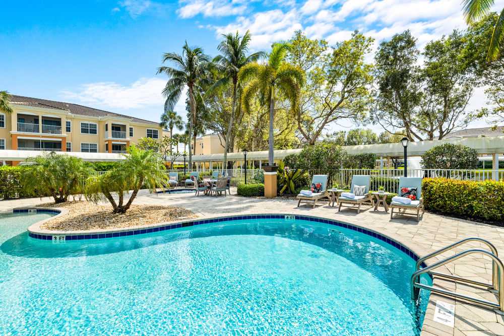 Serene outdoor pool area with lounge chairs and palm trees