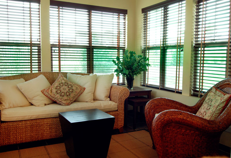 Cozy living room with comfortable seating and natural light