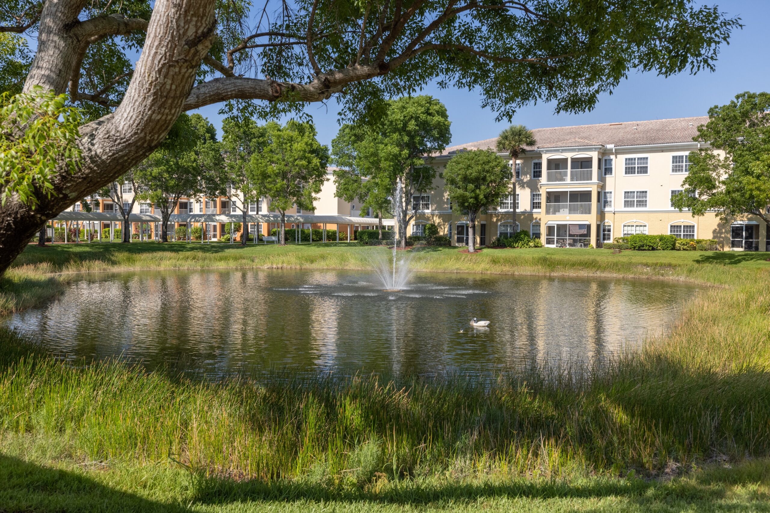 Scenic view of the pond and building at Aston Gardens