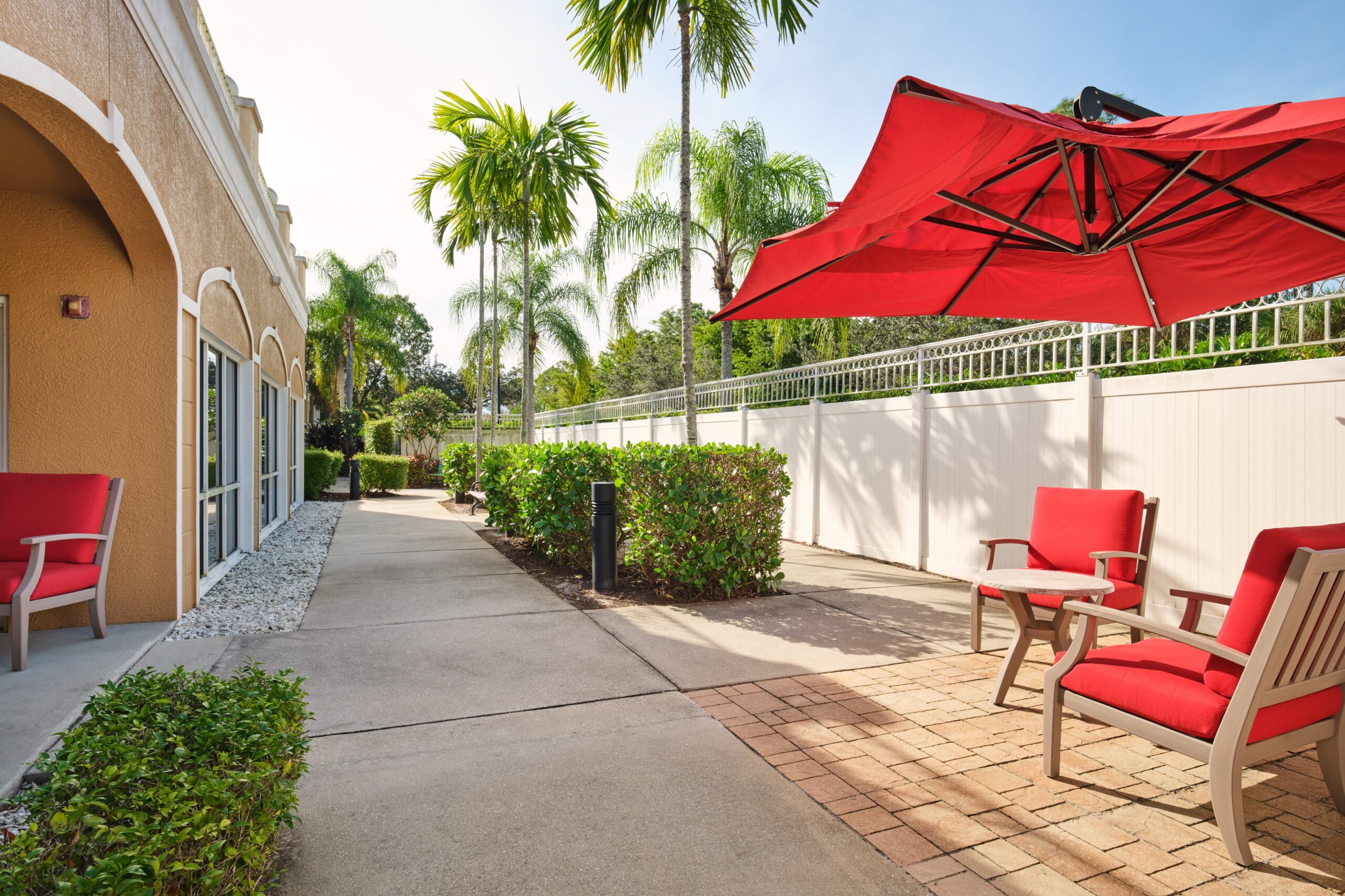 Outdoor seating area with palm trees and umbrellas