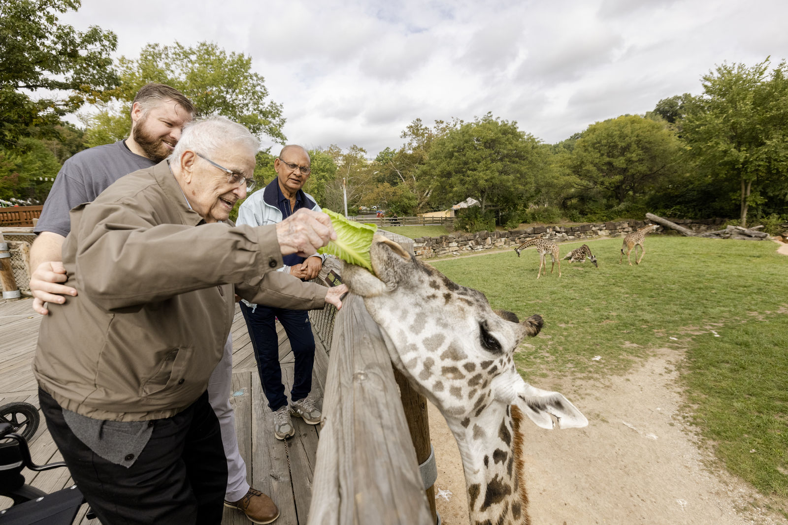 Residents feeding a giraffe during an outdoor activity
