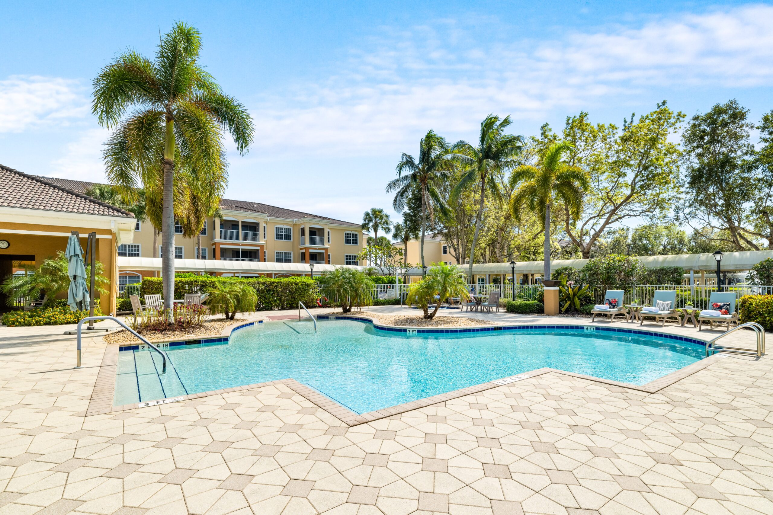 Outdoor pool area with palm trees and seating
