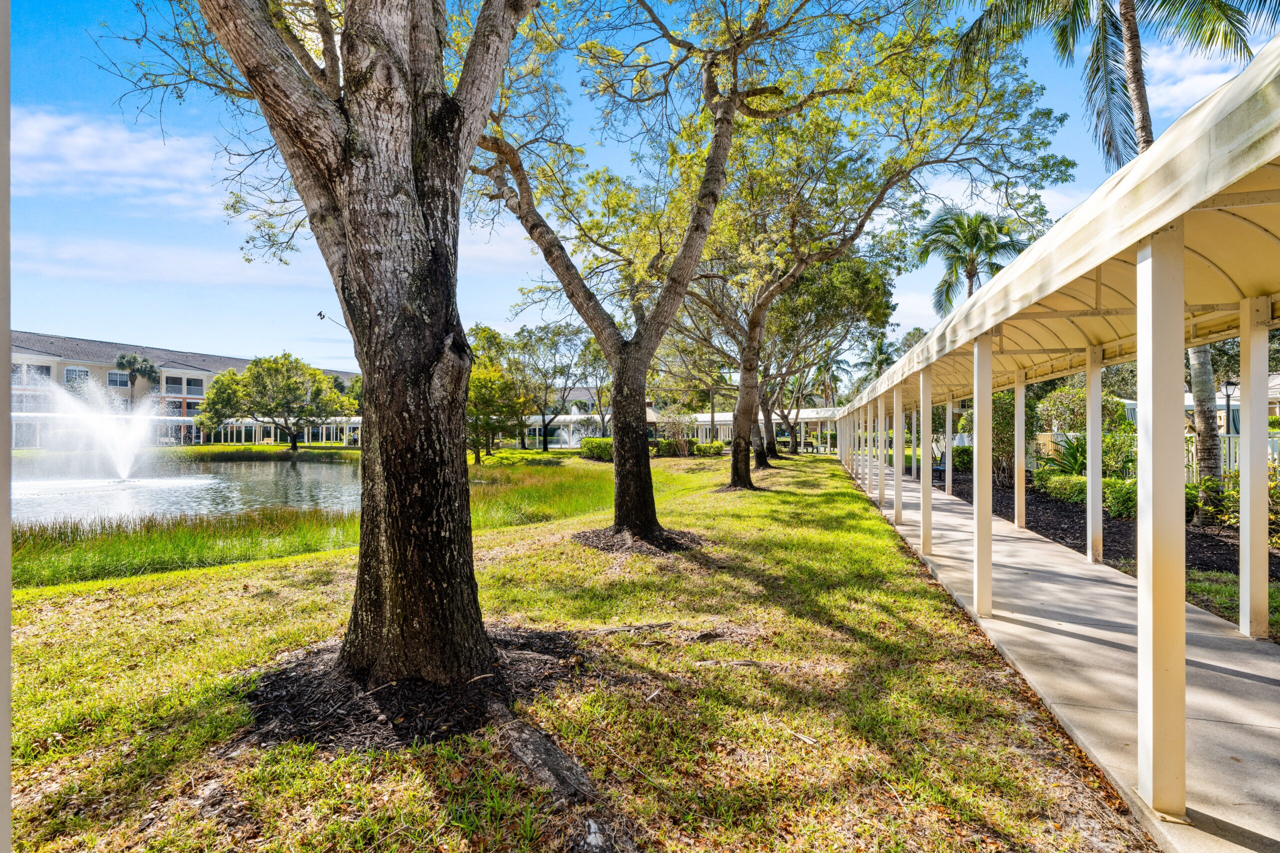 Walking path along a serene pond with trees
