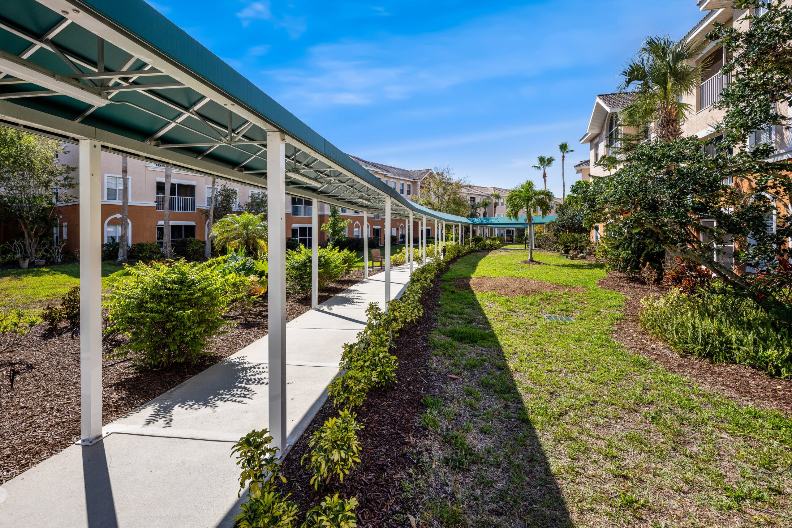 Pathway through landscaped outdoor area