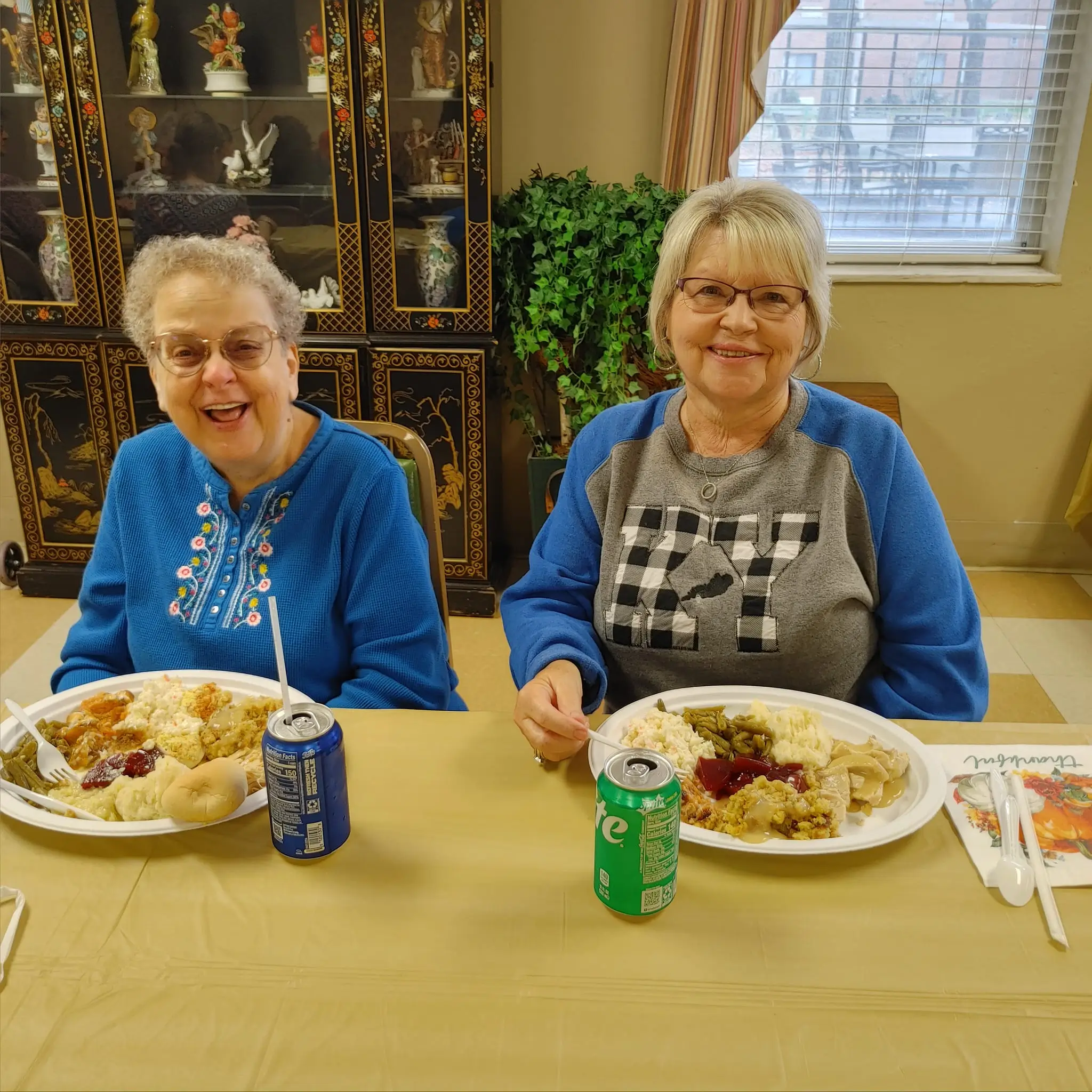 Two residents enjoying a meal together in the dining room