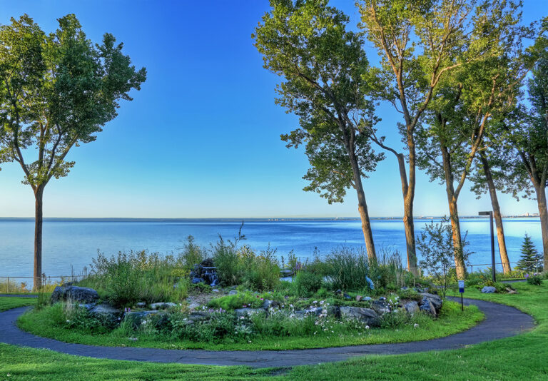 A scenic view of the waterfront from a garden
