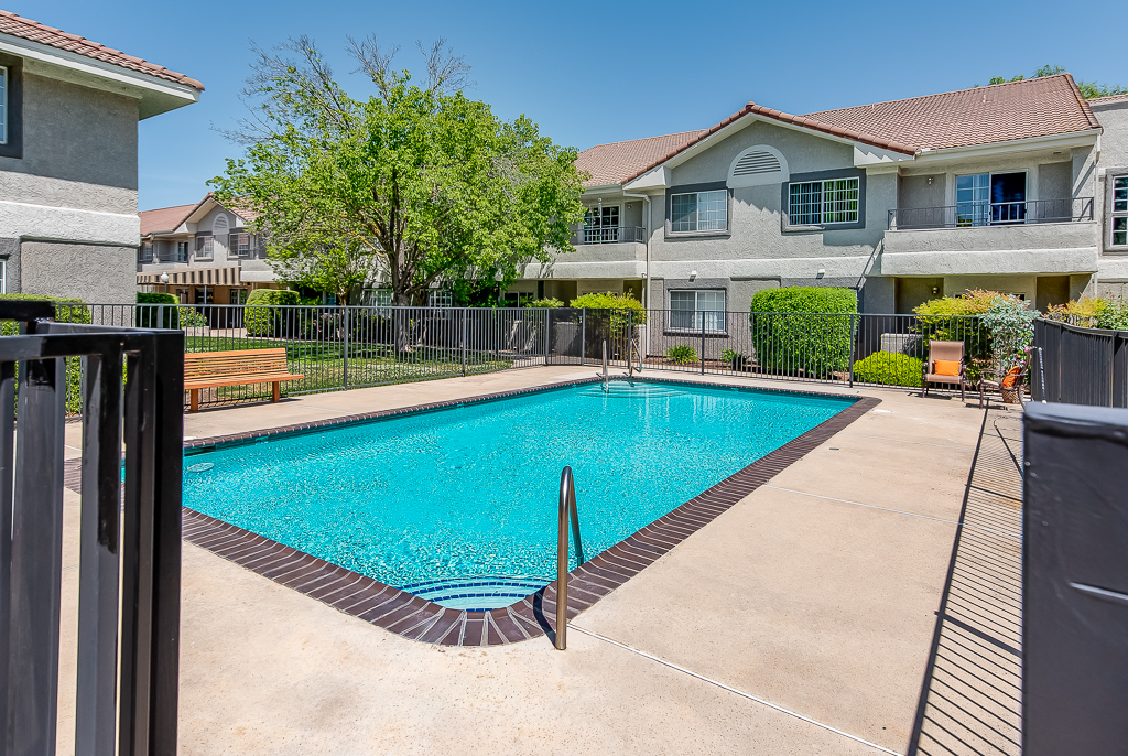 Outdoor pool area with chairs and trees