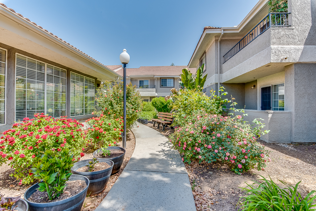 Beautiful garden pathway with flowers and seating area