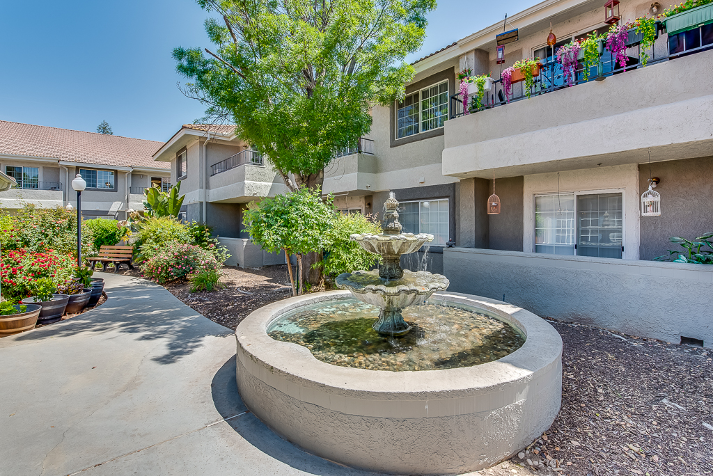 Beautiful outdoor courtyard with a fountain and flowers