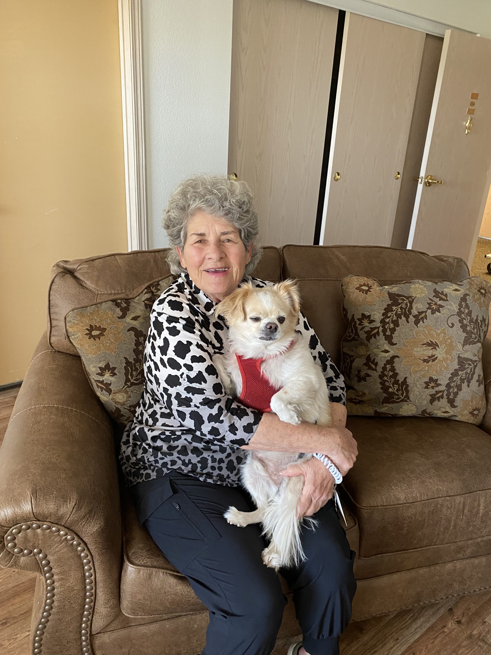 Senior woman holding a small dog on a couch