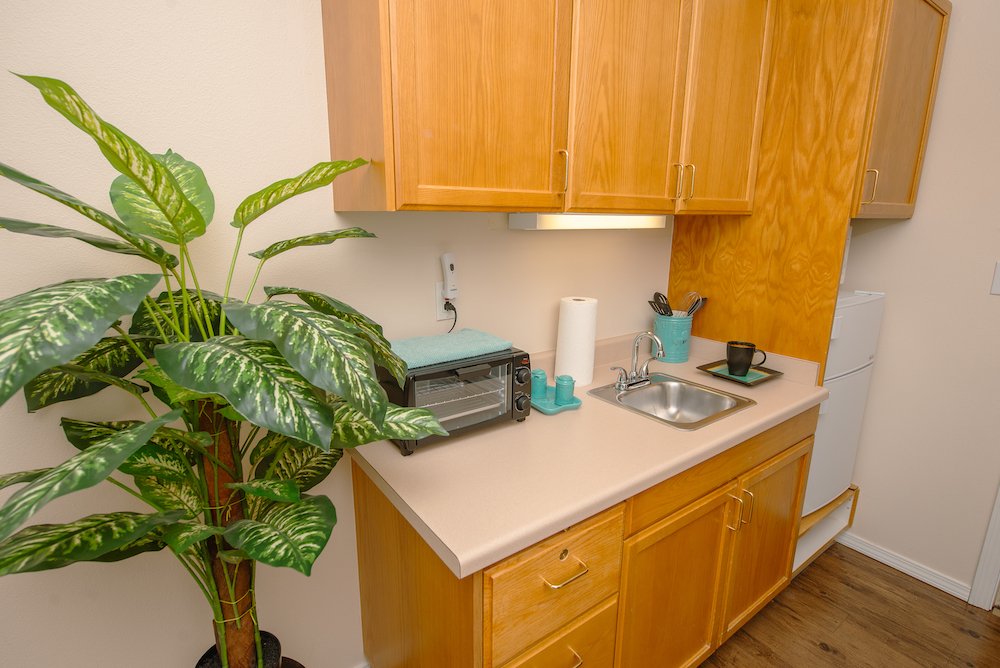 Cozy kitchenette with a plant and appliances