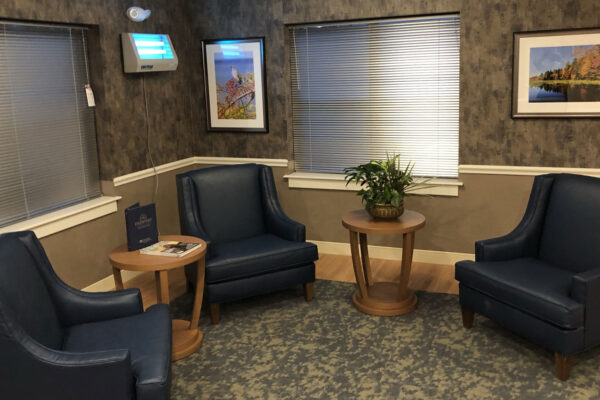 Seating area with chairs and plant in facility