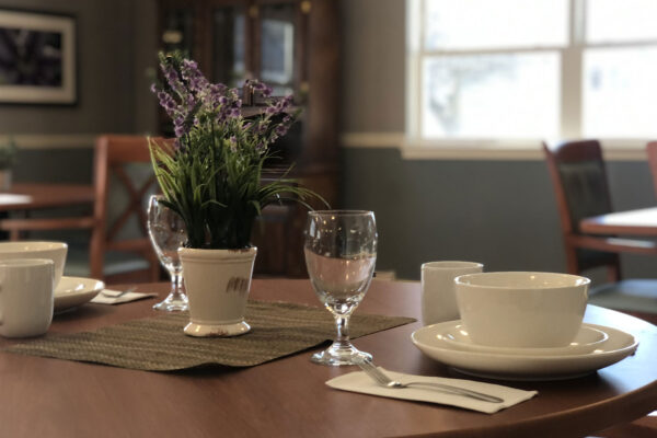Dining table set with dishes and a small plant.
