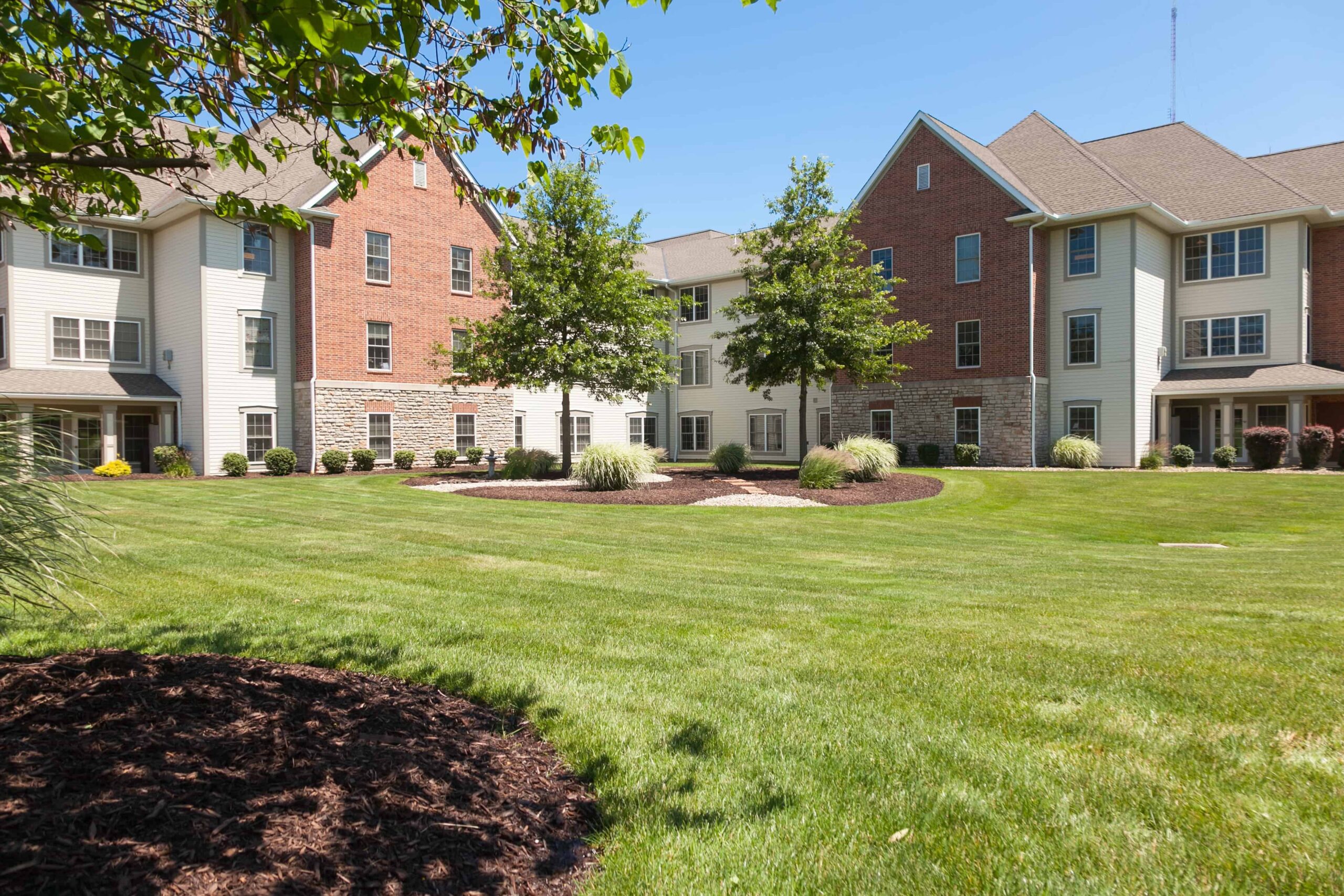 Lush courtyard with buildings and trees