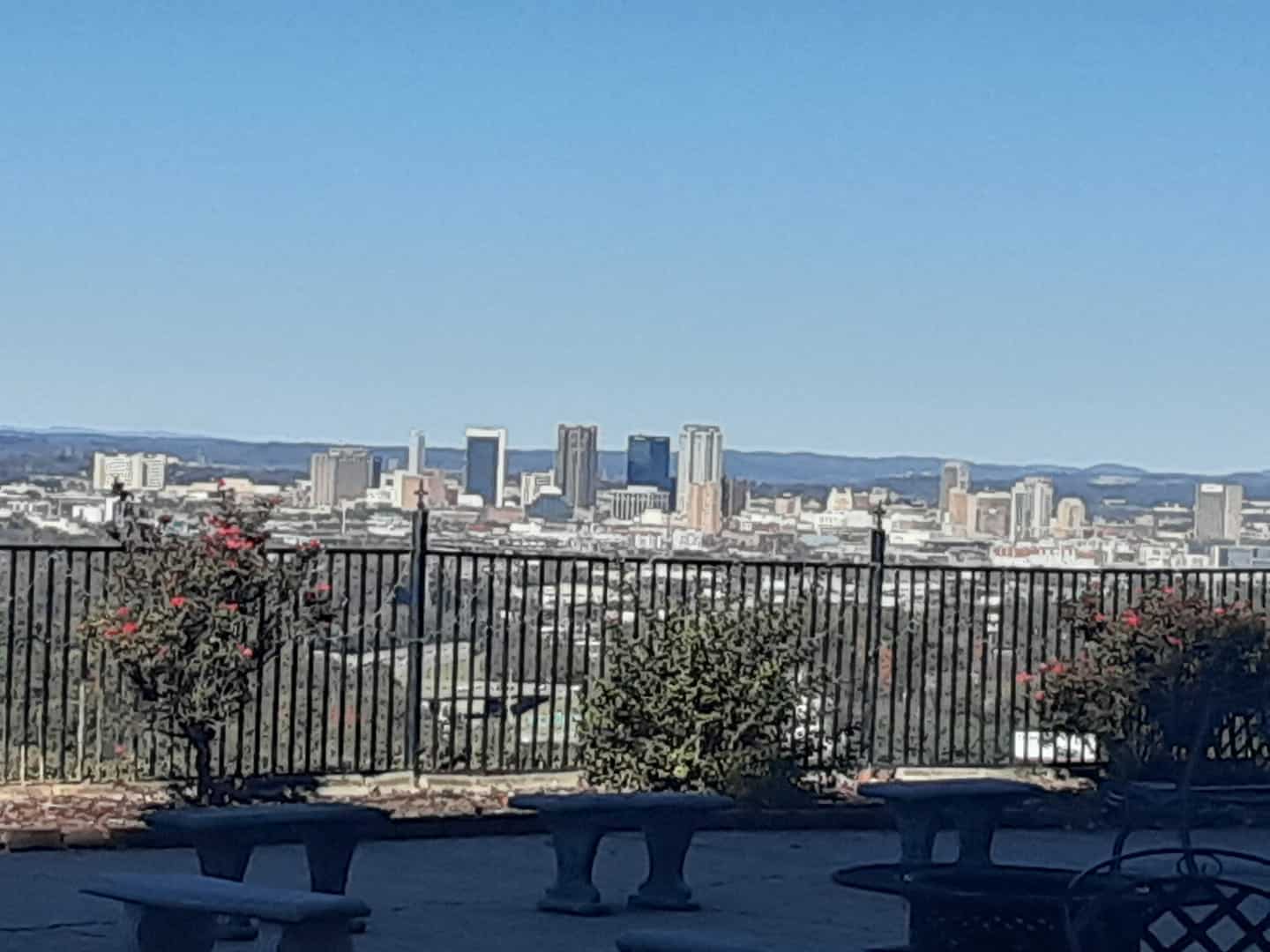 View of a city skyline from an outdoor space.