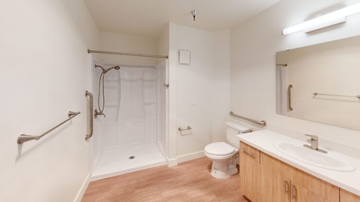 Accessible bathroom with grab bars and vanity.