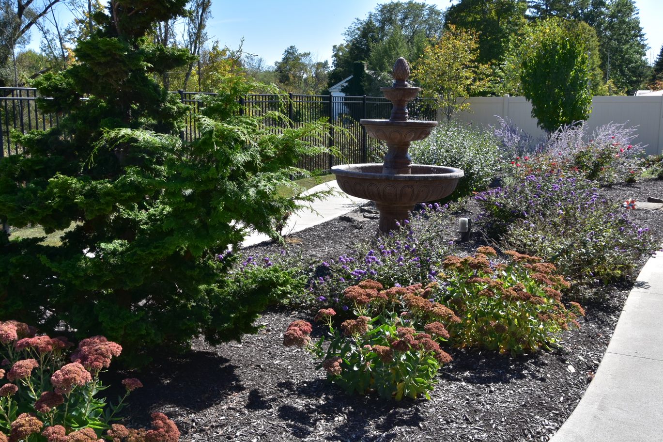 Beautiful garden with fountain and flowering plants.