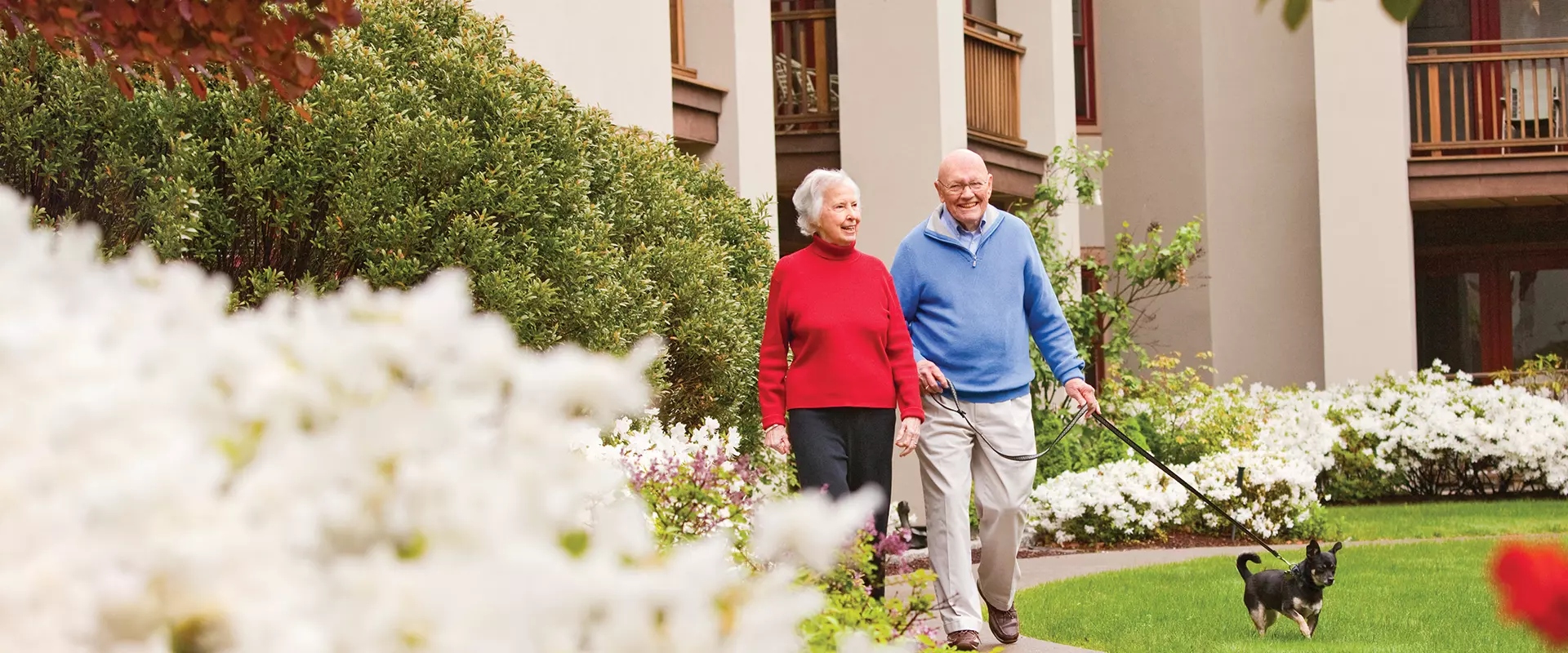 Elderly couple walking in a garden