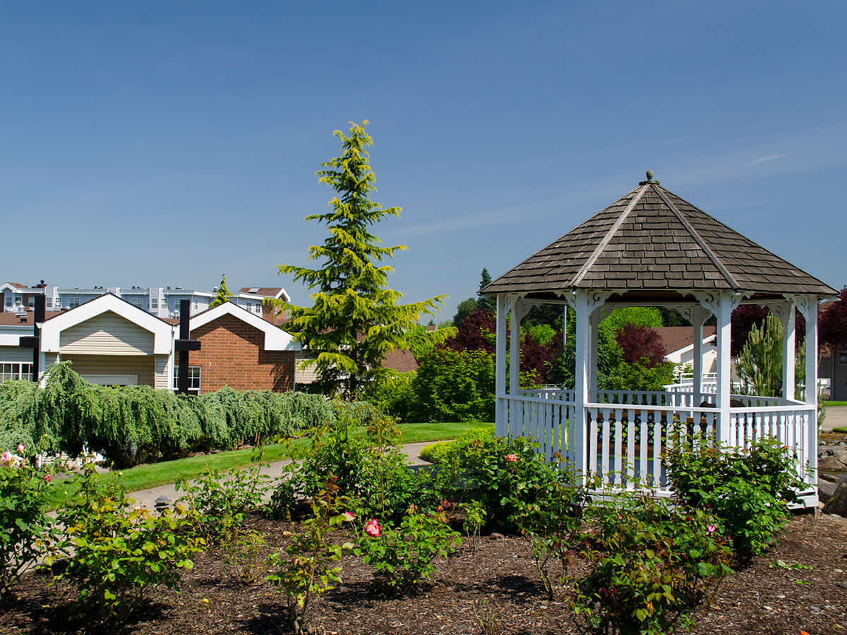 Outdoor gazebo surrounded by gardens and buildings.
