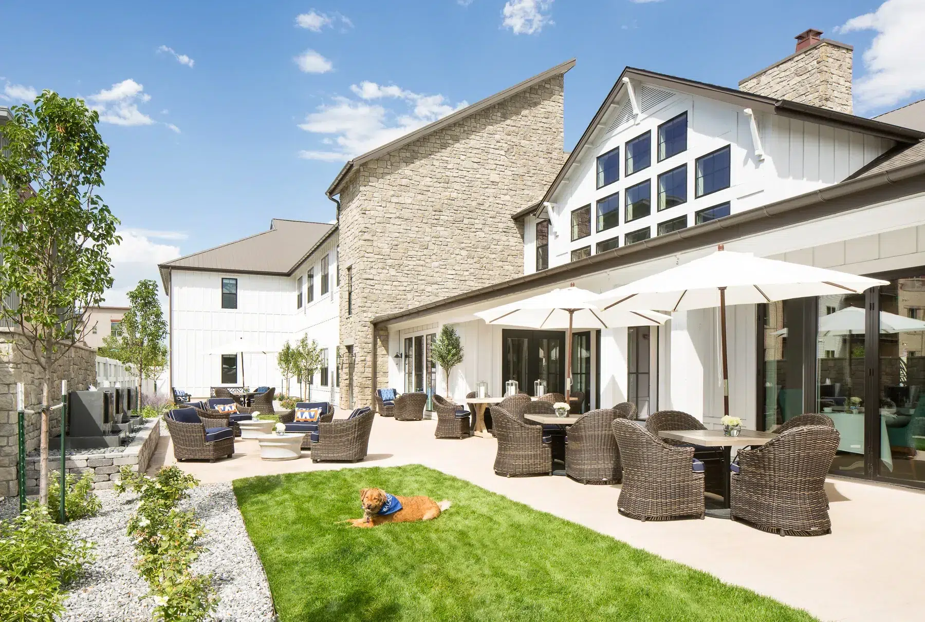 Outdoor seating area with garden and a dog