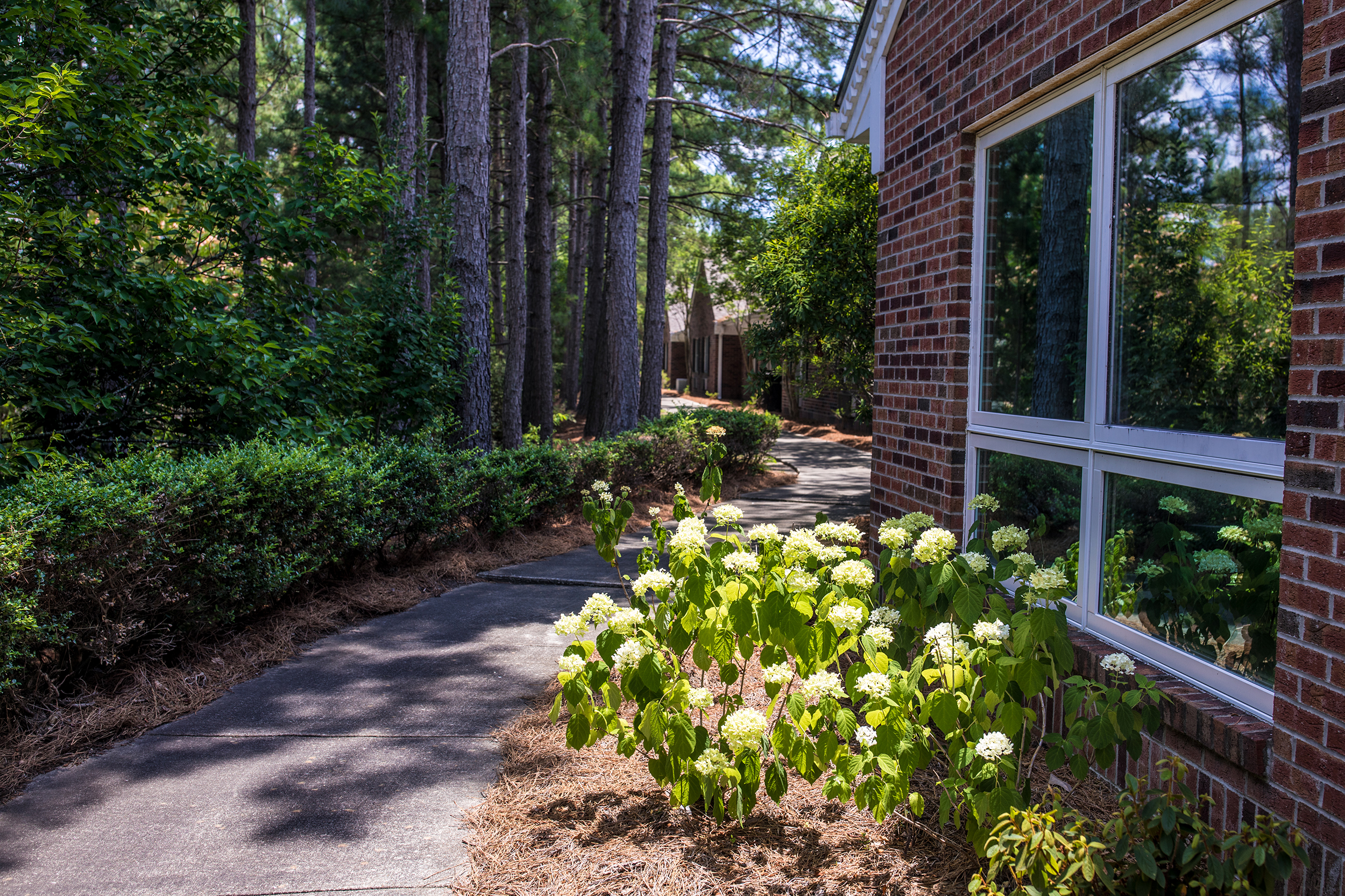 Village Green Health and Rehabilitation