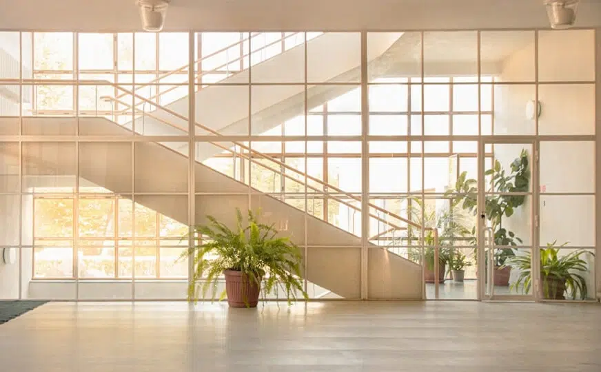 Bright interior with a staircase and plants.