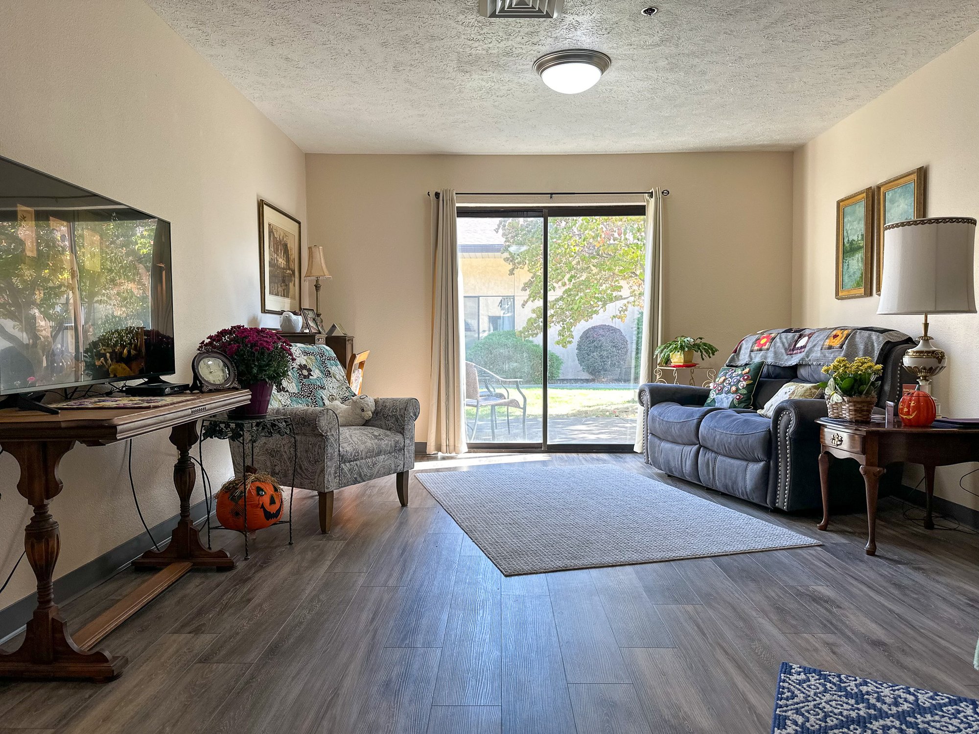Comfortable living area with seating and plants