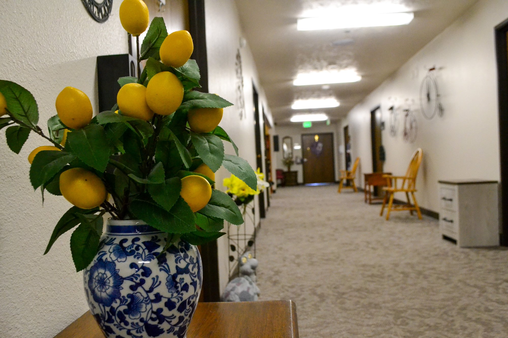 Decorative vase with lemons in a facility hallway