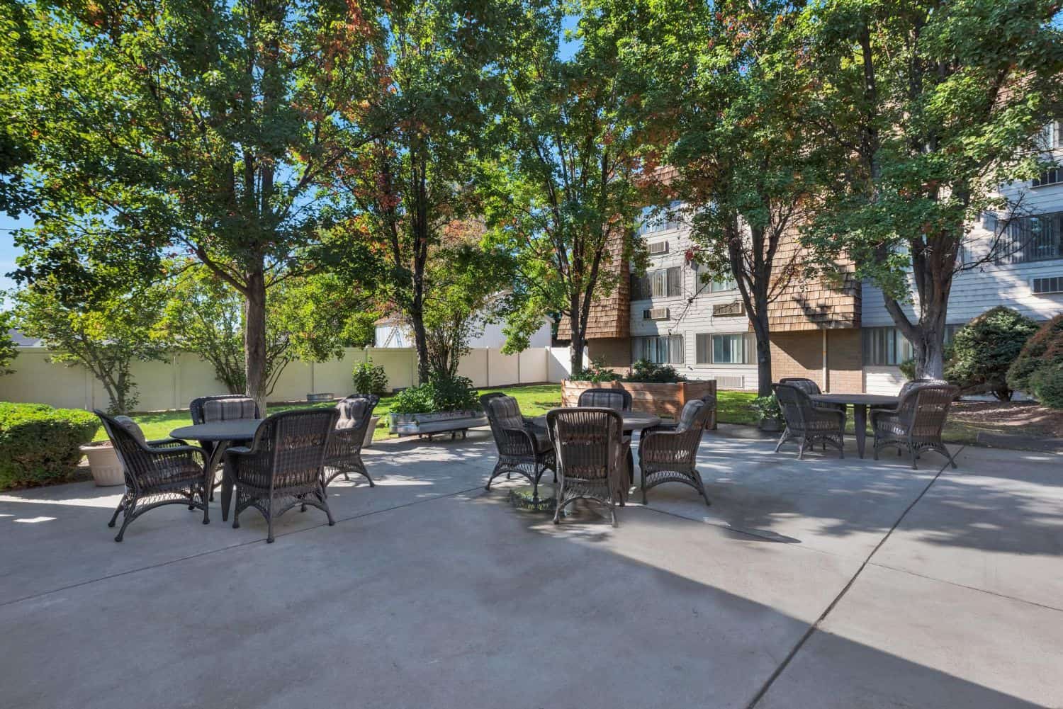Outdoor seating area surrounded by trees