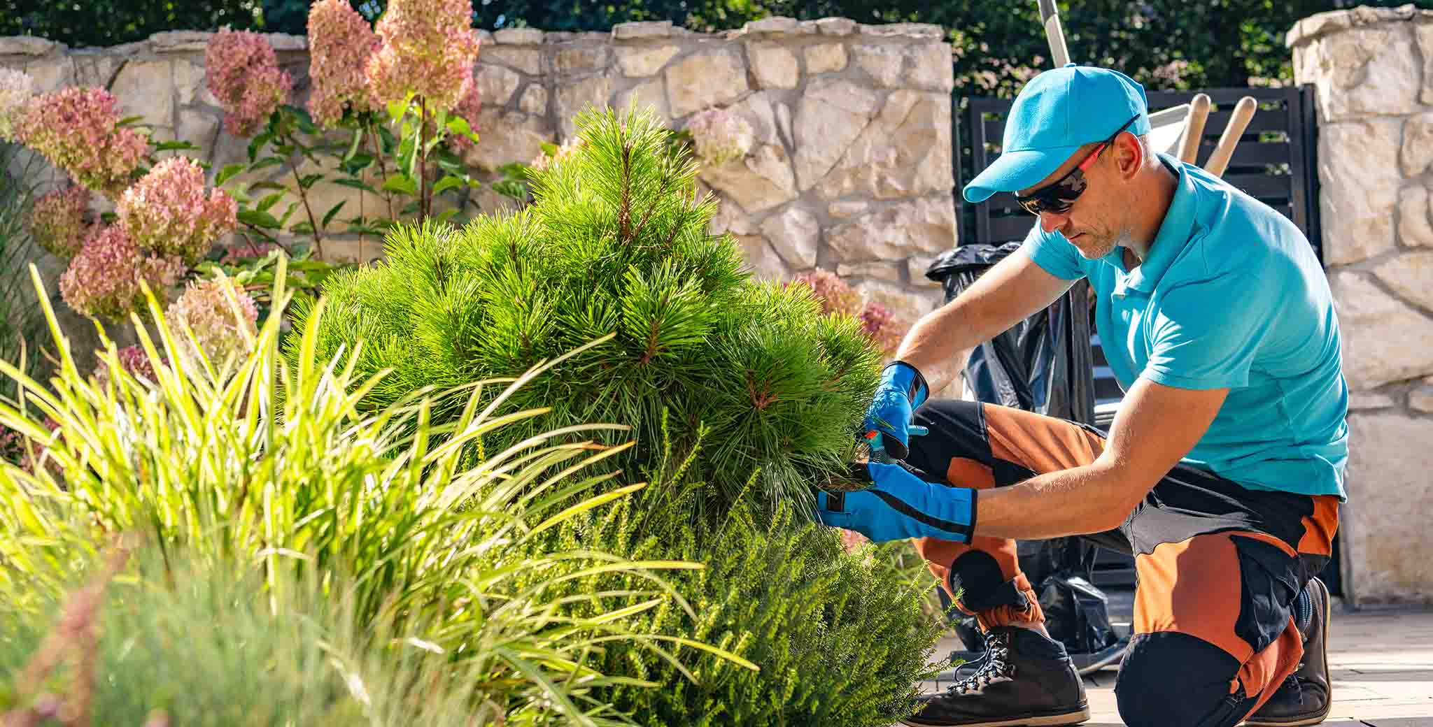 Gardener tending to plants in an outdoor space