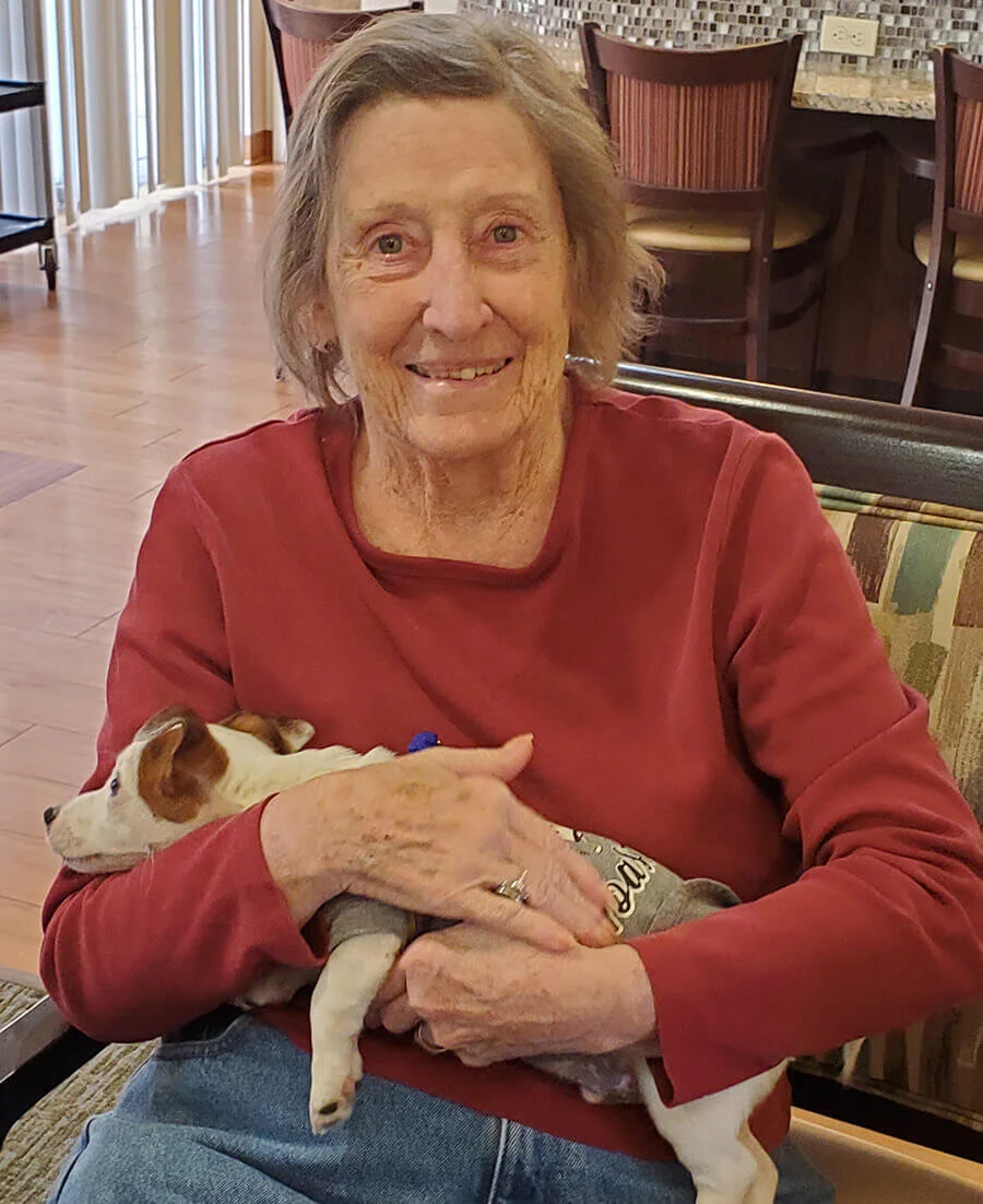 Springbrooke Retirement & Assisted Living