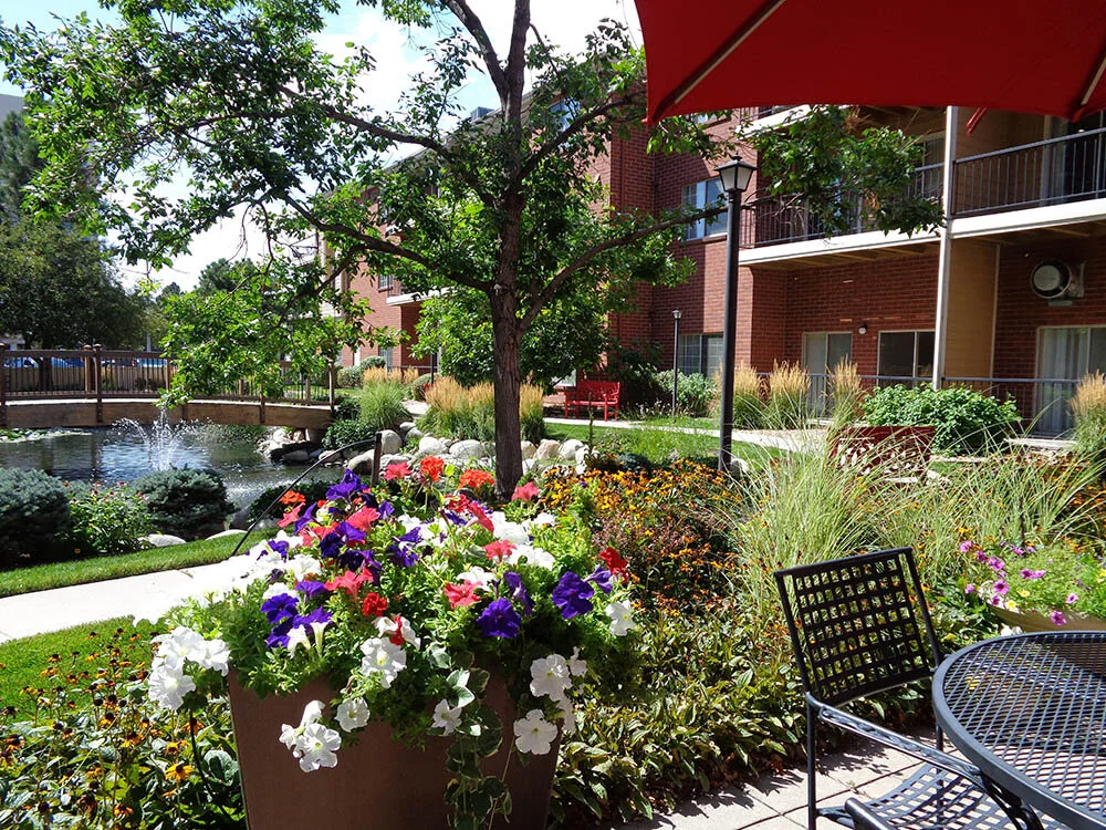 Lush garden area with colorful flowers and seating