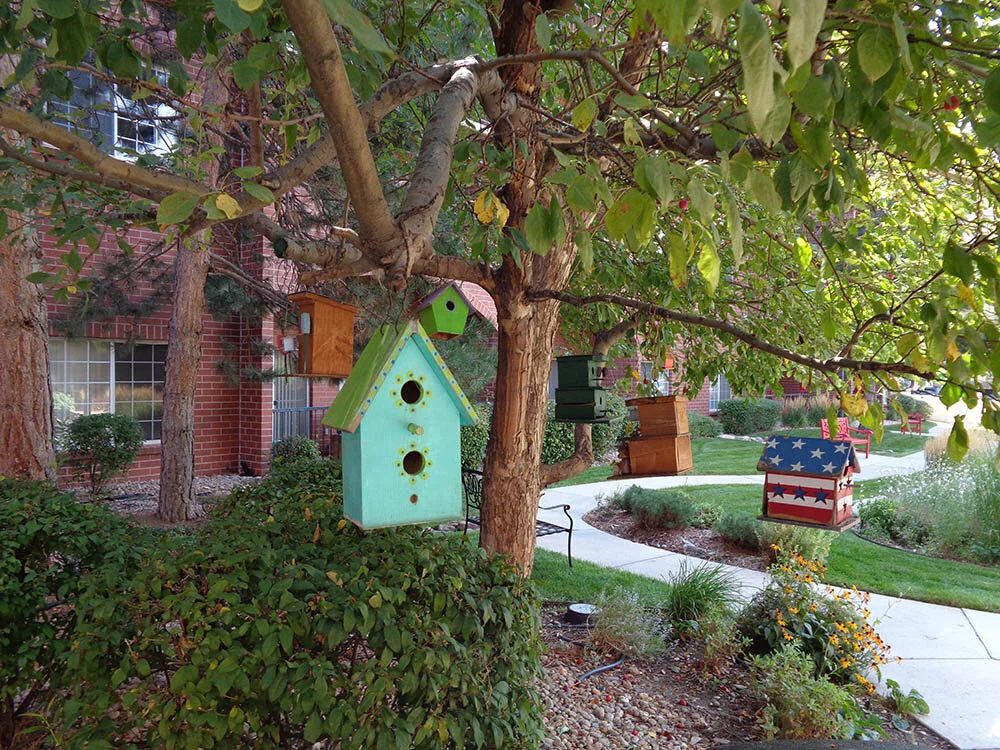 Colorful birdhouses in a courtyard setting.