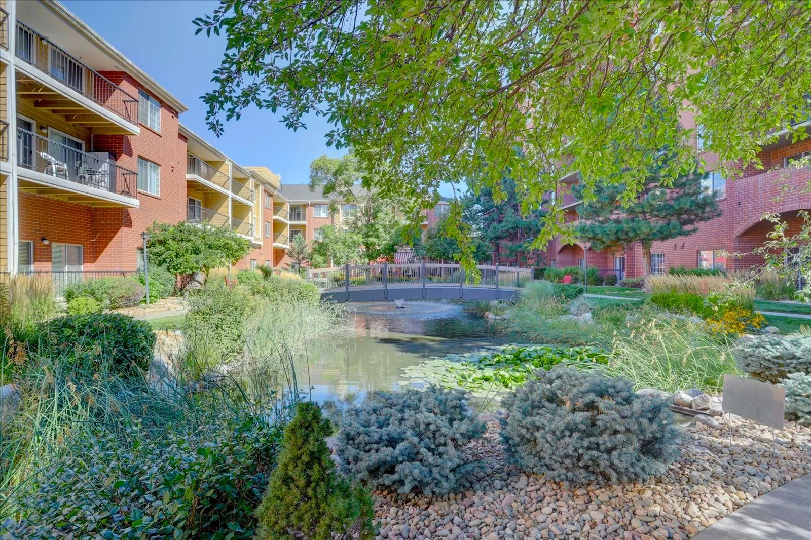Beautiful outdoor garden area with pond
