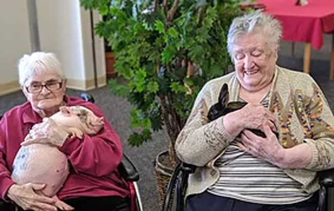 Divine Rehabilitation and Nursing at Canal Pointe
