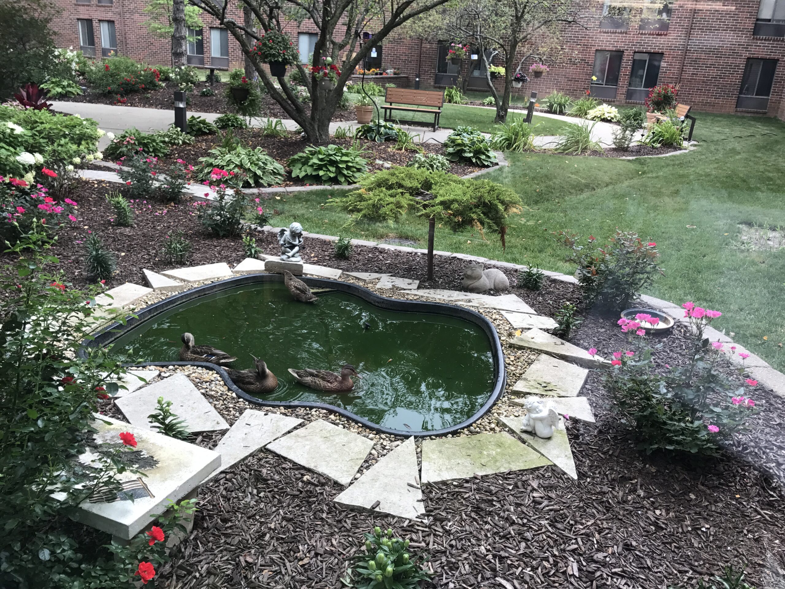 Serene garden with ducks and flowers